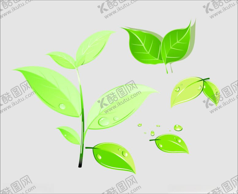 编号：25598701260207072368【酷图网】源文件下载-绿叶