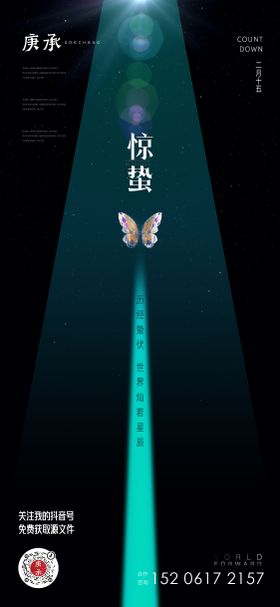 惊蛰星空海报