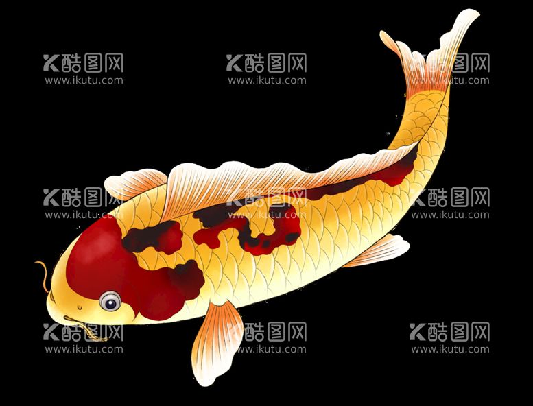 编号：21846011131056005448【酷图网】源文件下载-锦鲤  金鱼插画  国潮素材 