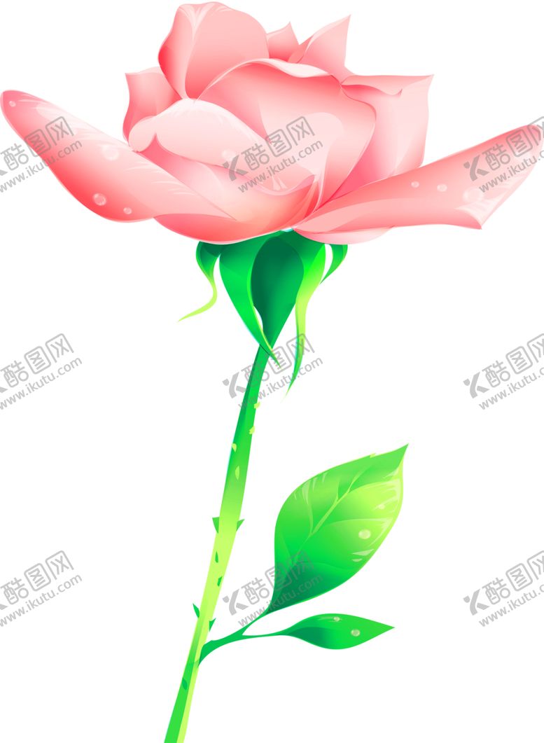编号：74647605130914151672【酷图网】源文件下载-鲜花装饰