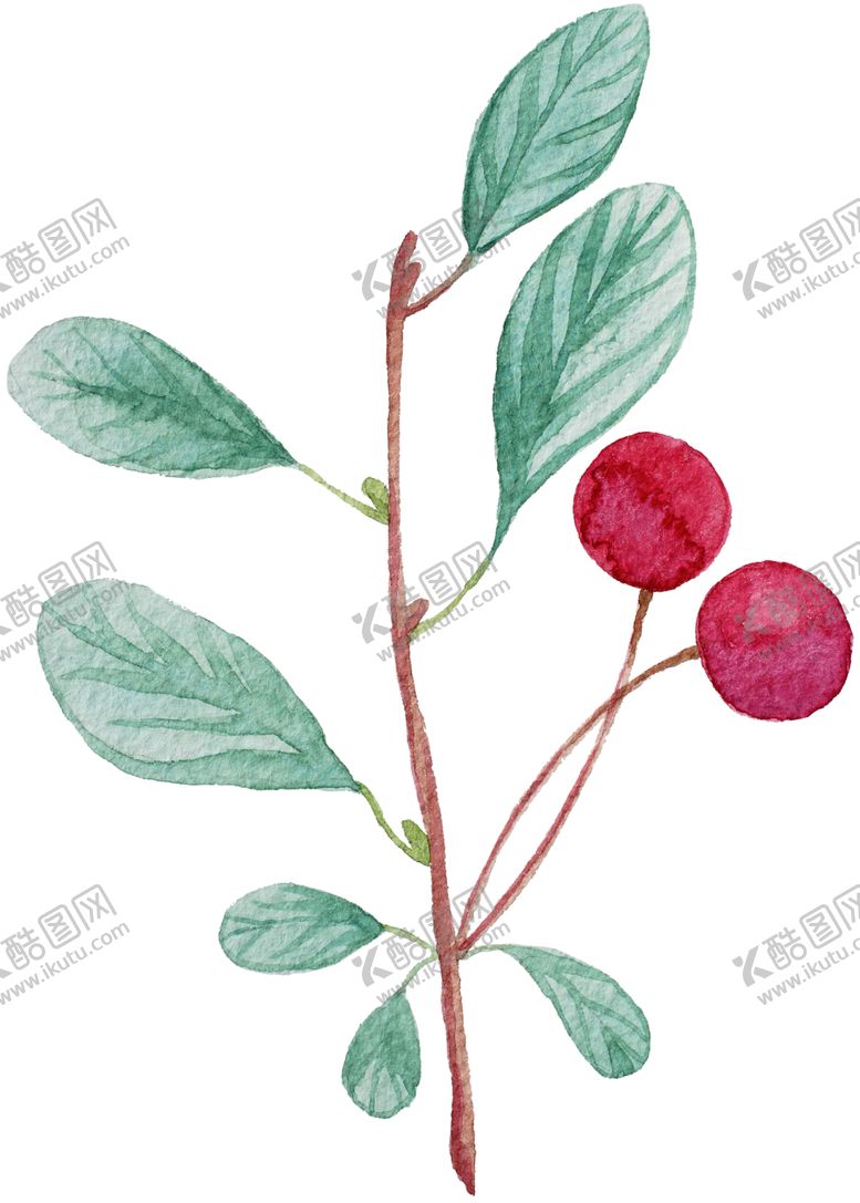 编号：63229509210224351080【酷图网】源文件下载-手绘植物