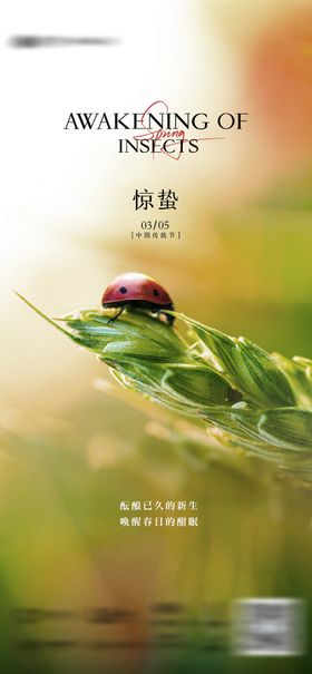 地产惊蛰春天春分海报