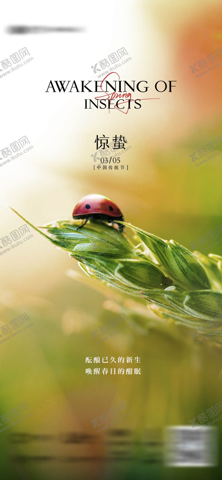 编号：82969003040216489321【酷图网】源文件下载-地产惊蛰春天春分海报