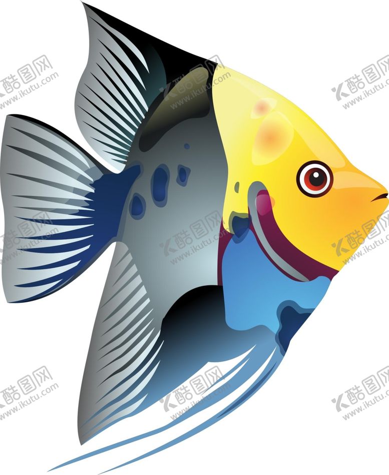 编号：87198109130336593333【酷图网】源文件下载-鱼类绘画