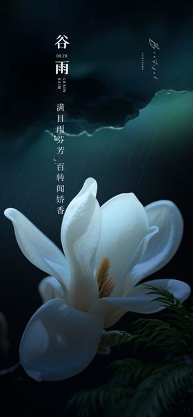 水中绽放的优雅白玉兰