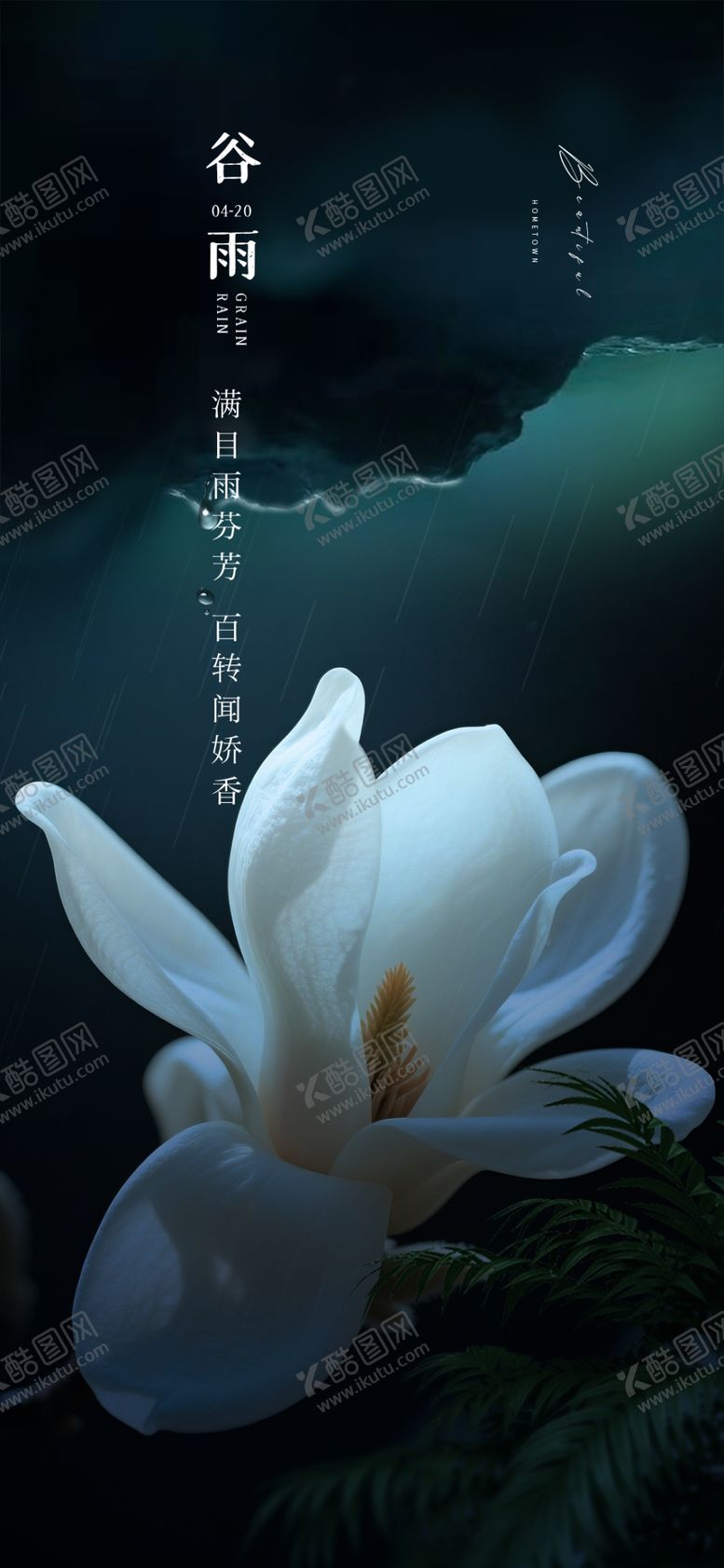 编号：30327004011905331841【酷图网】源文件下载-水中绽放的优雅白玉兰