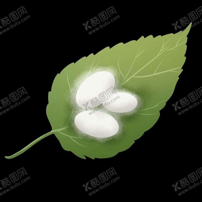 编号：91400202221306186115【酷图网】源文件下载-蚕丝蚕茧