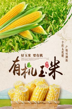 玉米