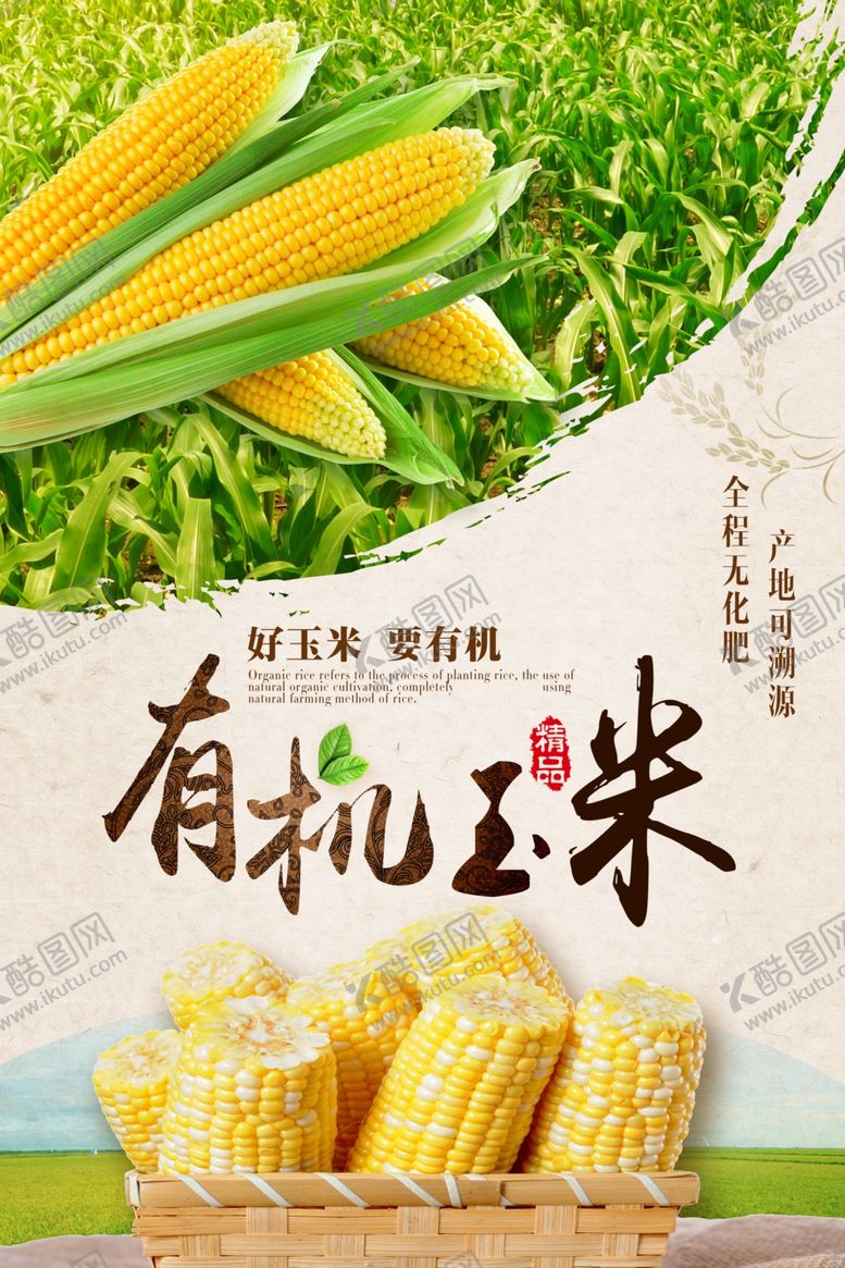 编号：31560107040239252803【酷图网】源文件下载-玉米