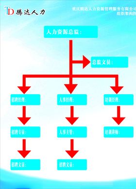 人力资源蓝色组织架构图