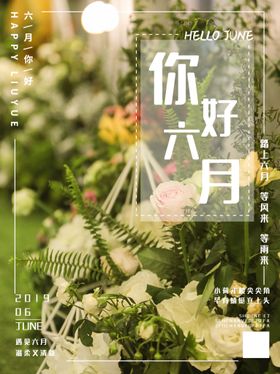 你好6月