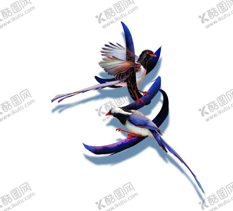 编号：95851705120654383561【酷图网】源文件下载-喜鹊