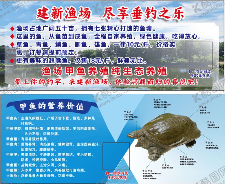 编号：30682810062245184321【酷图网】源文件下载-甲鱼的营养价值卡片