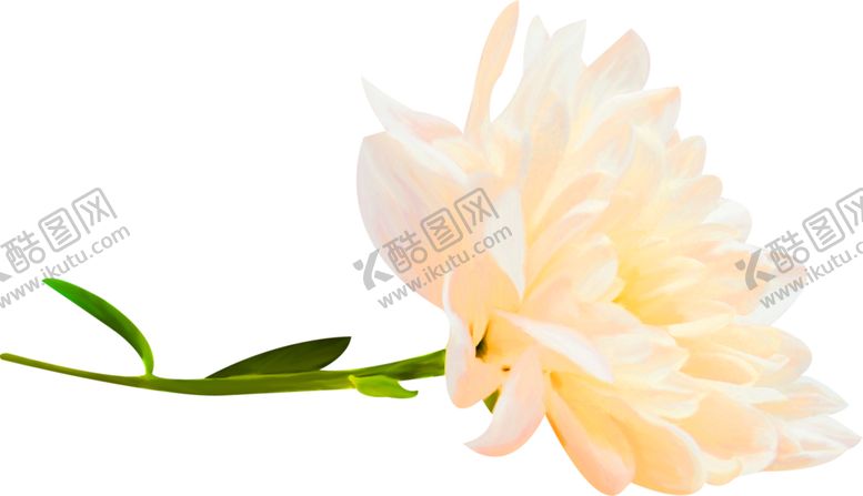 编号：31446509130923158999【酷图网】源文件下载-鲜花装饰