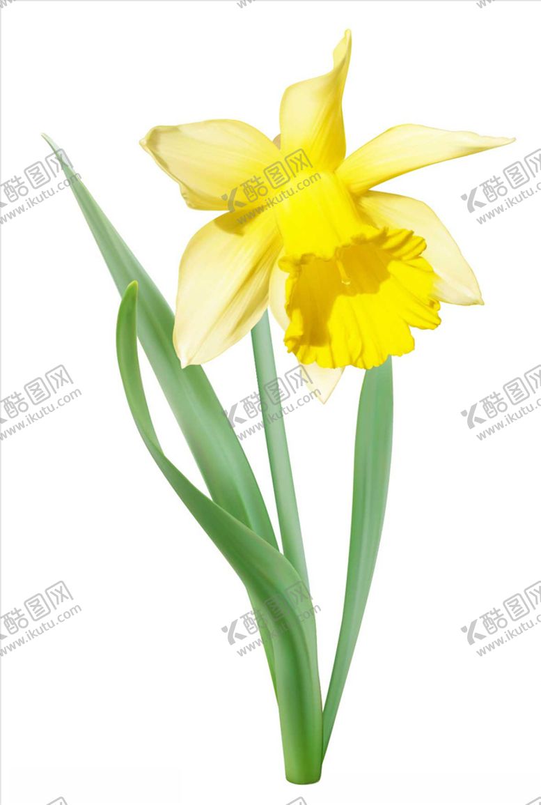 编号：19493209120430564264【酷图网】源文件下载-卡通花朵