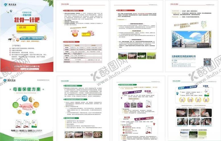 编号：47585910270159535023【酷图网】源文件下载-兽药家畜药品广告设计