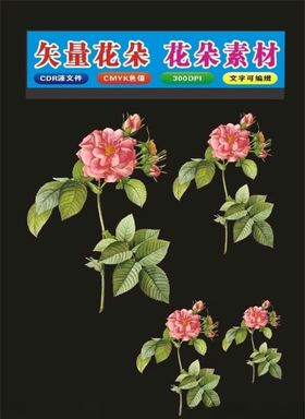 花卉花