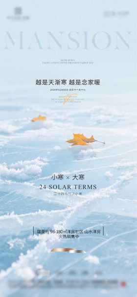地产小寒质感海报