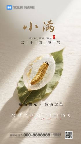 二十四节气小满海报