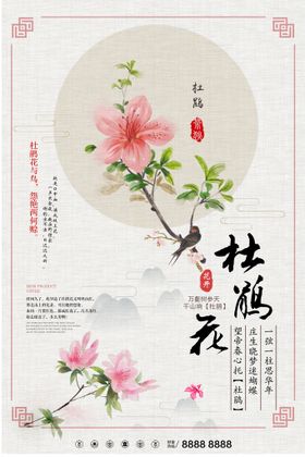 杜鹃花海报