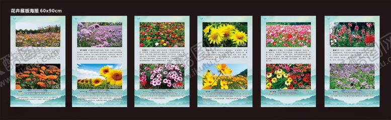 编号：64045803150726196665【酷图网】源文件下载-花卉展板海报园林展板海报