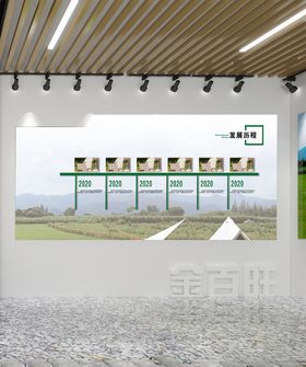 企业发展历程