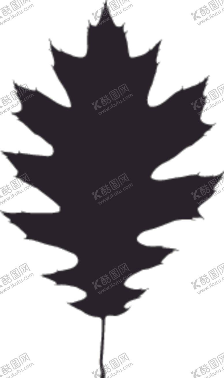 编号：94938109201343088182【酷图网】源文件下载-植物系列树叶