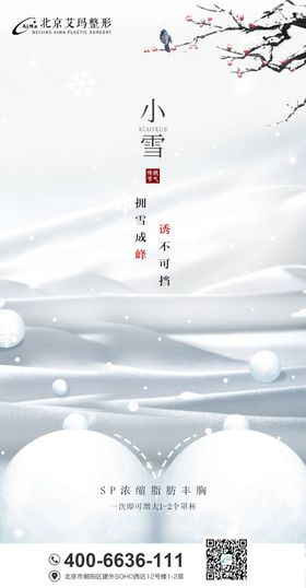 小雪医美节气创意海报