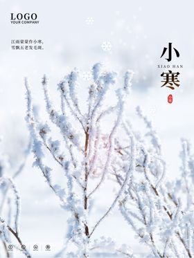 小寒唯美海报