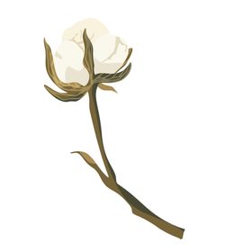森系花枝