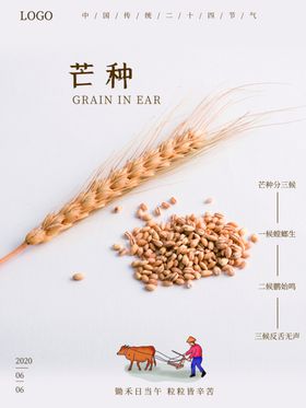 芒种