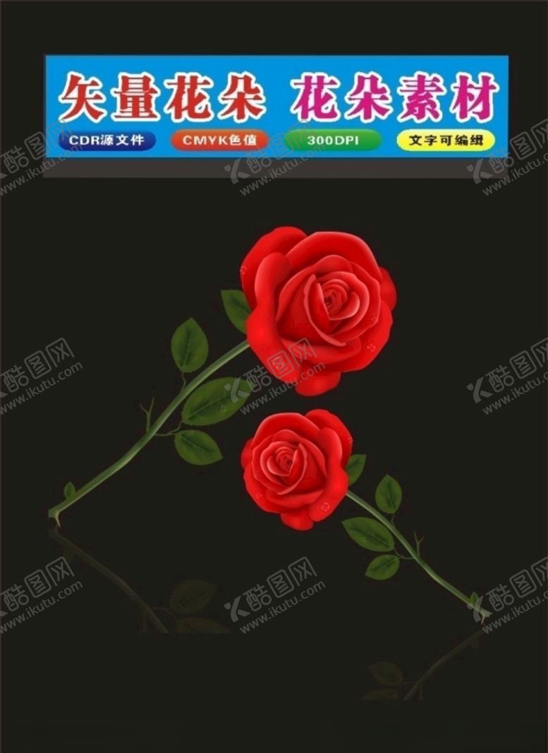编号：18646610211825044099【酷图网】源文件下载-花朵红色玫瑰