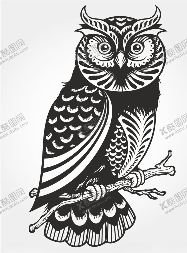 编号：89223910310417163595【酷图网】源文件下载-猫头鹰