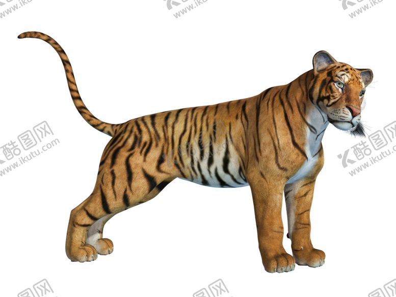 编号：76520710091022408060【酷图网】源文件下载-老虎
