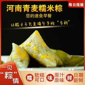 河南糯米粽子