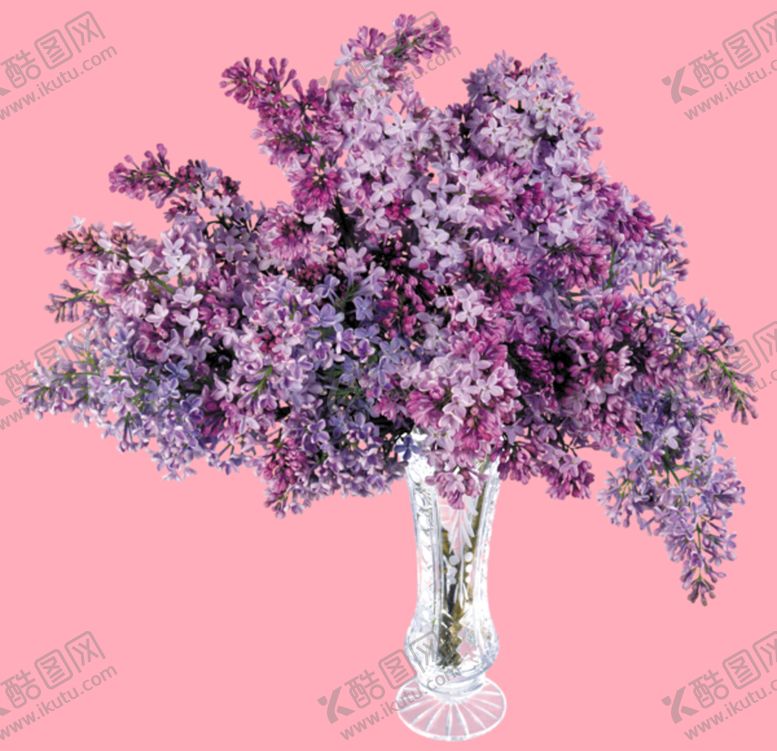 编号：83016509180527400257【酷图网】源文件下载-丁香花