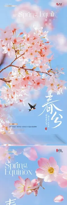 地产春分立春花卉蓝天海报