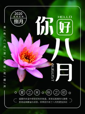 八月