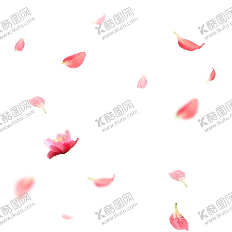 编号：24161006251728201441【酷图网】源文件下载-飘落的花瓣