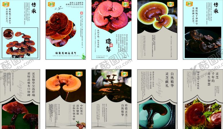 编号：85605510170110055249【酷图网】源文件下载-灵芝