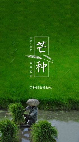 芒种宣传素材节气微信贴片