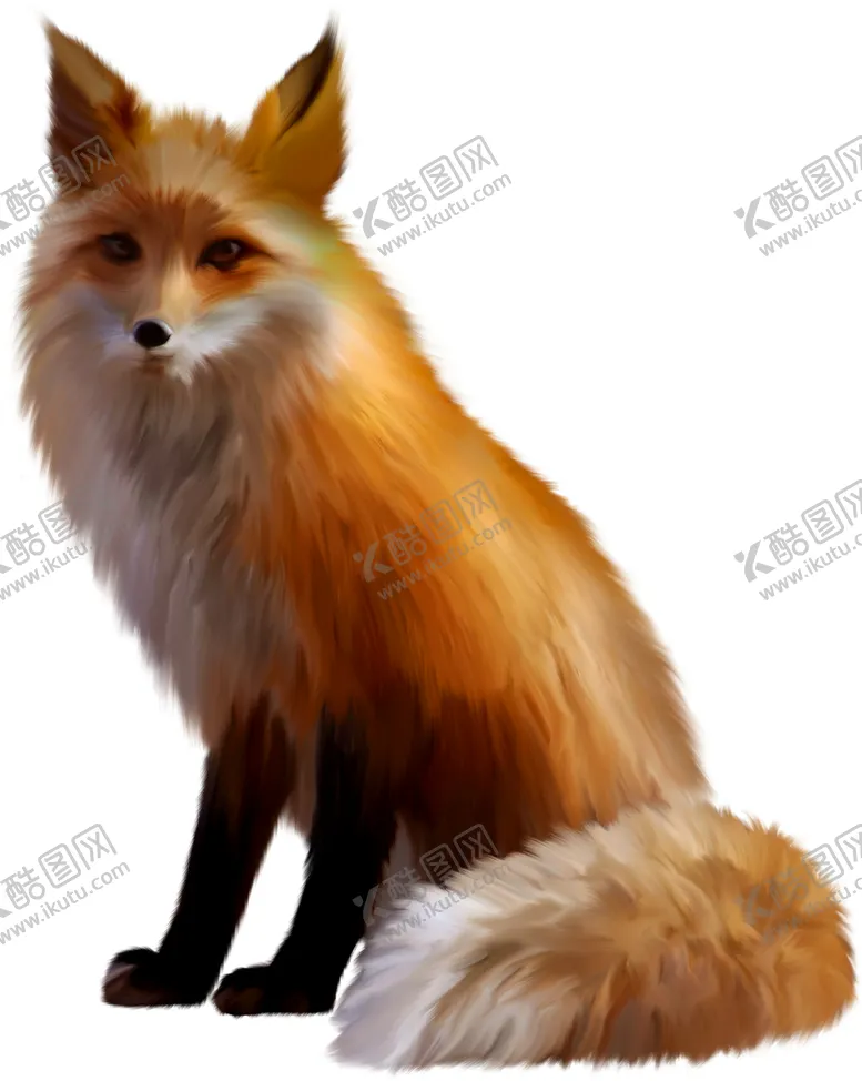 编号：51163604280830177500【酷图网】源文件下载-狐狸