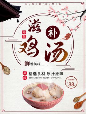 滋补鸡汤