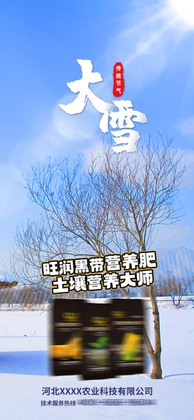 大雪海报寒霜降小寒