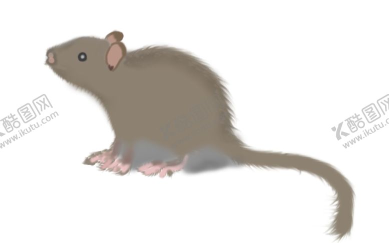 编号：97262709210843573130【酷图网】源文件下载-卡通老鼠可爱老鼠鼠年20