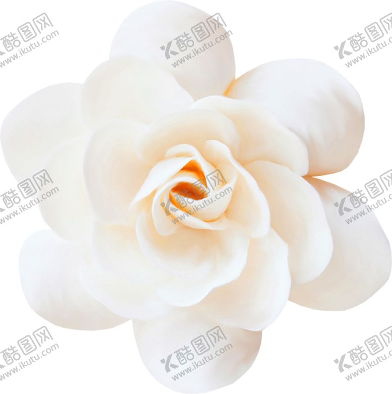 编号：76469707041339154132【酷图网】源文件下载-鲜花装饰