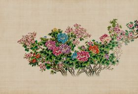 牡丹花朵