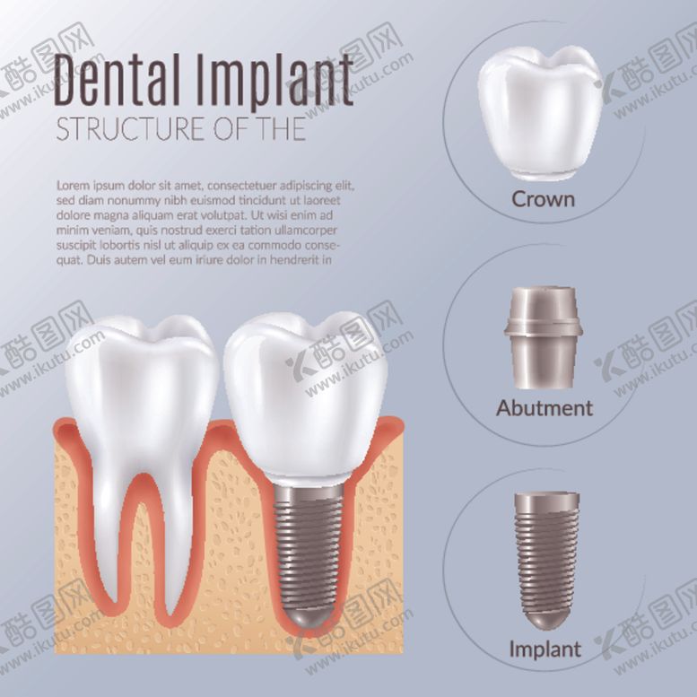 编号：13320409272345098291【酷图网】源文件下载-牙齿口腔医科