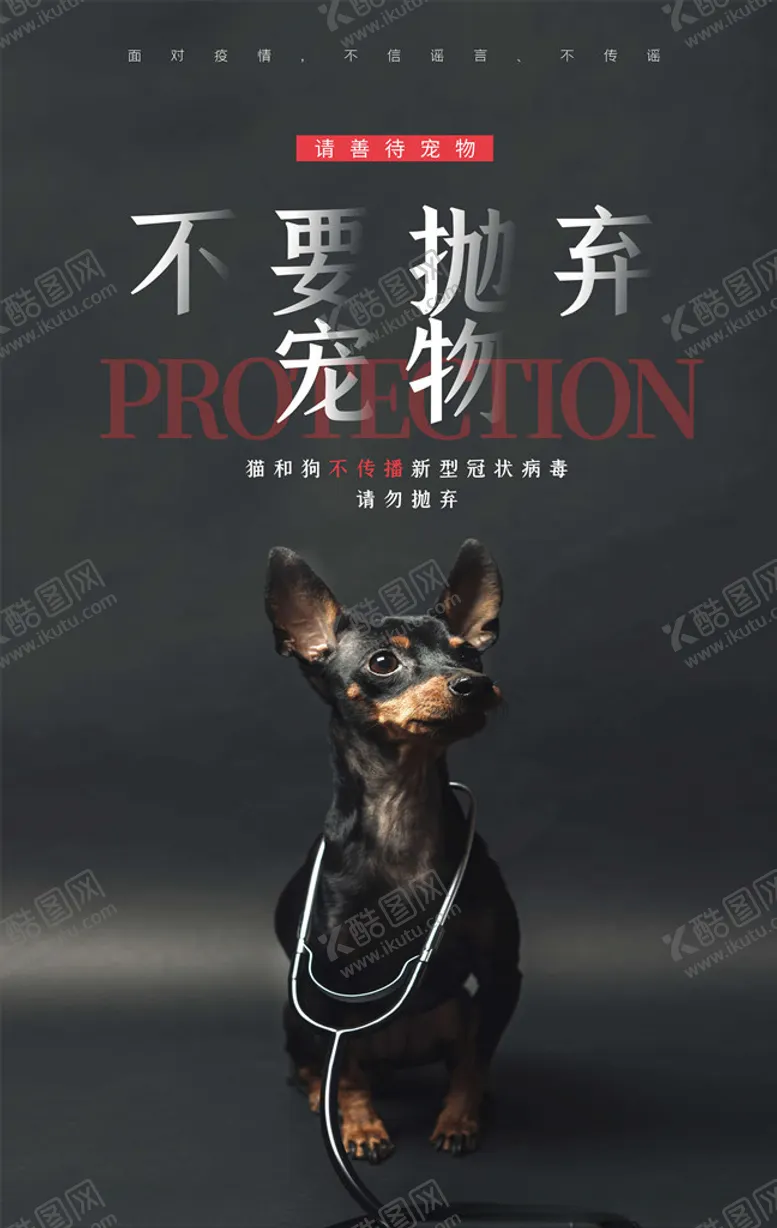 编号：31258805161123579935【酷图网】源文件下载-宠物海报