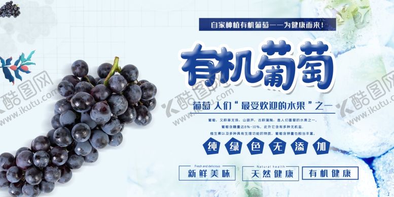 编号：56141205160349246927【酷图网】源文件下载-有机葡萄展板